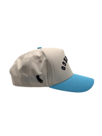 Pre-Curved San Diego Snapback-Baby Blue