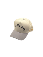 Pre-Curved San Diego Snapback-Grey