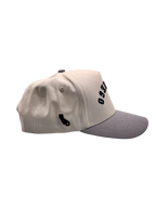 Pre-Curved San Diego Snapback-Grey