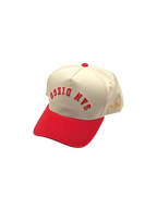 Pre-Curved San Diego Snapback-Red